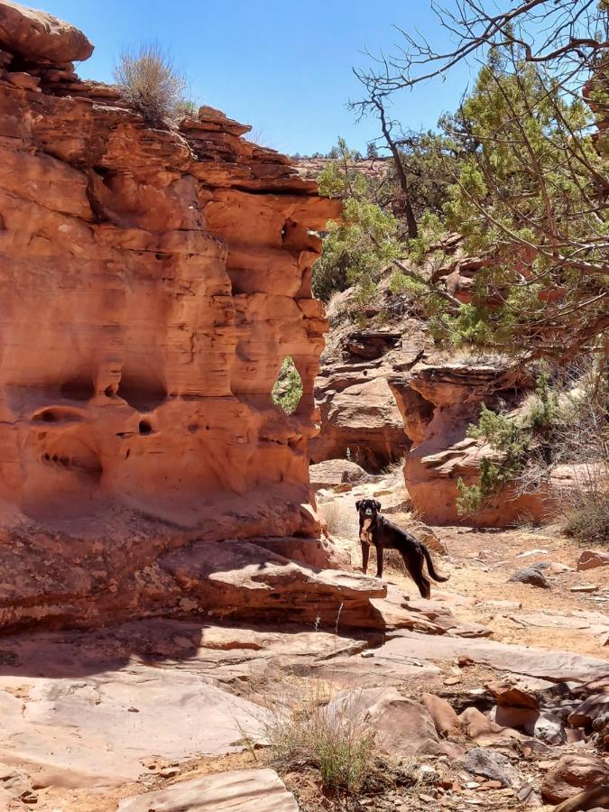 Canyons Of Escalante RV Park Exterior foto